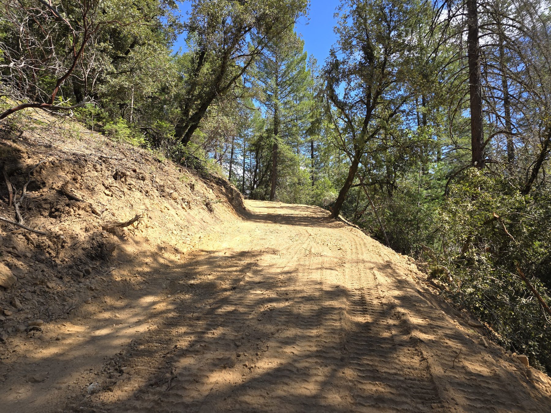 Raw cut hillside with the new road in mid-construction — bare dirt with cut bank on the uphill side