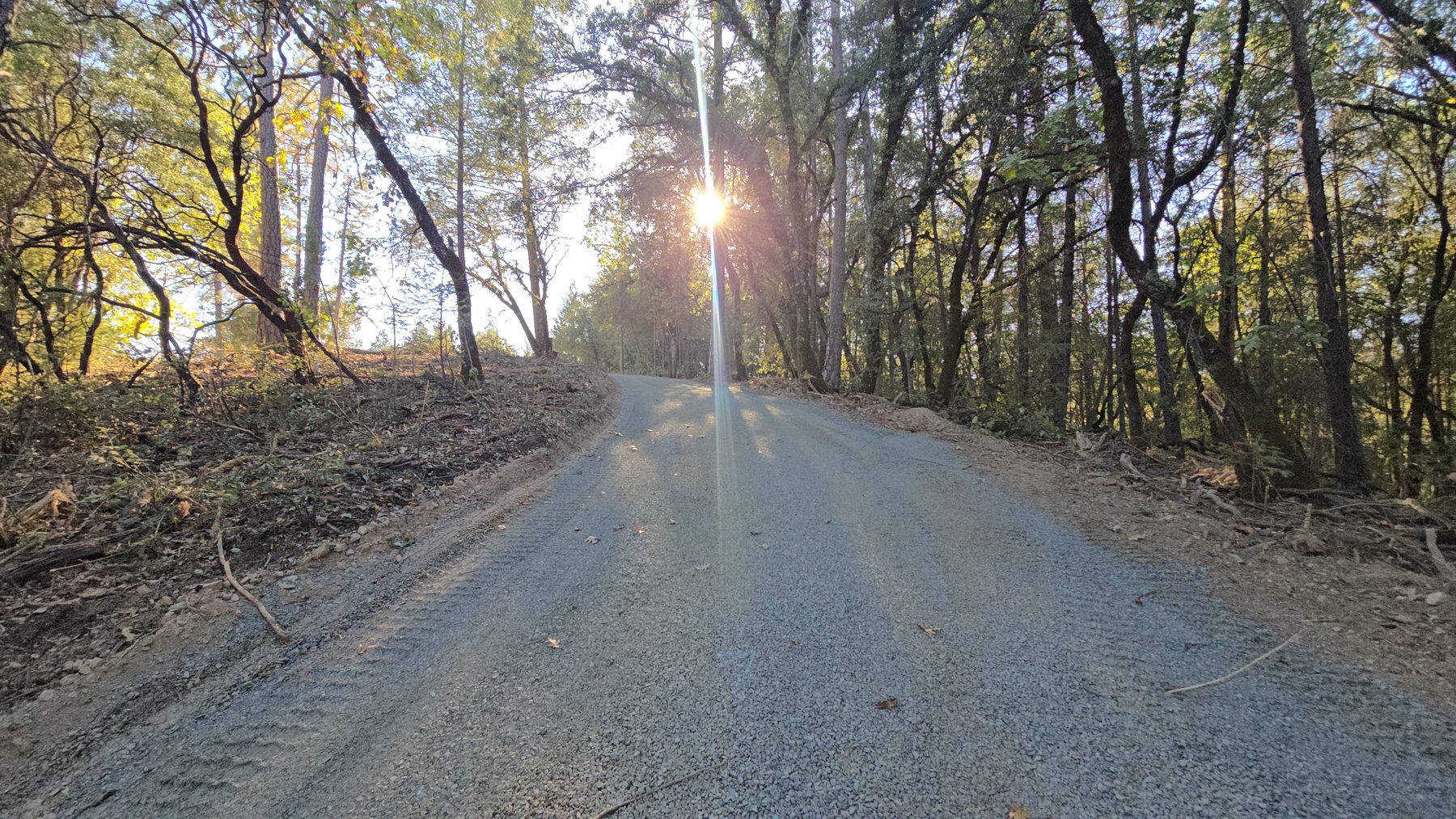 Finished gravel hill road with golden sun flare through the trees at the crest