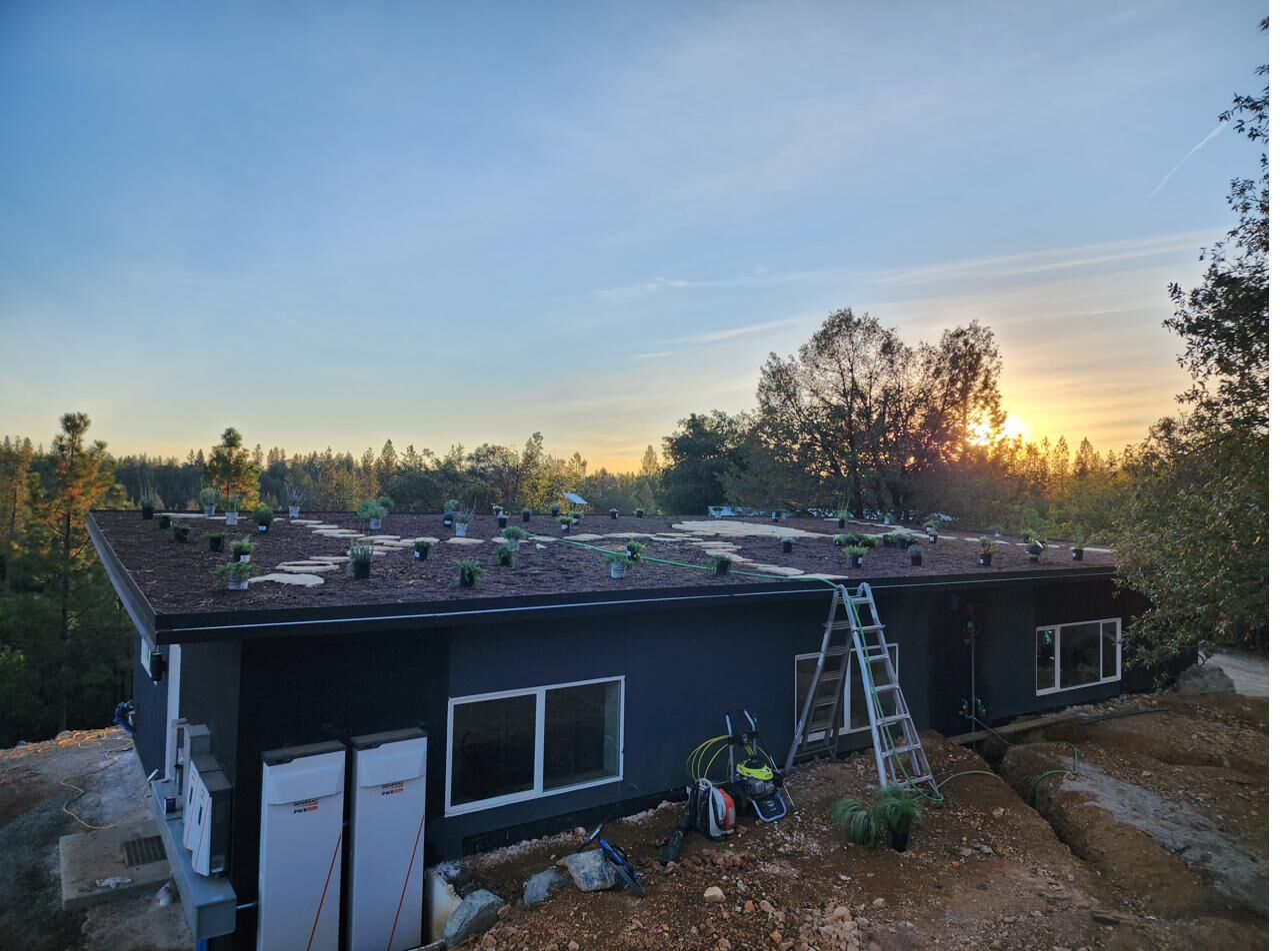 Green roof being planted at sunset, soil and stone path laid, wildflower starts waiting to go in