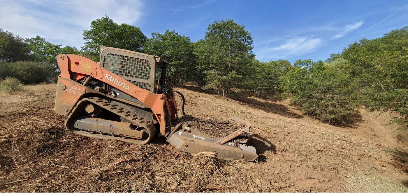 Skid steer with rotary disc mulcher clearing brush for defensible space